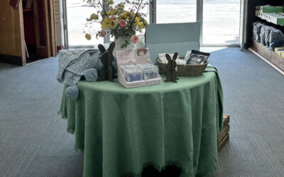 Spring Has Sprung In Our Gift Shop